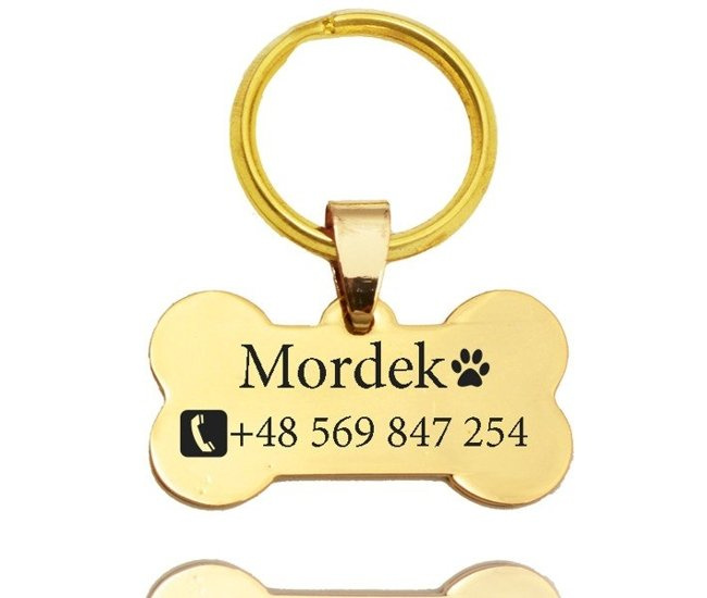 1085 identyfikator adresówka dla psa kość złota