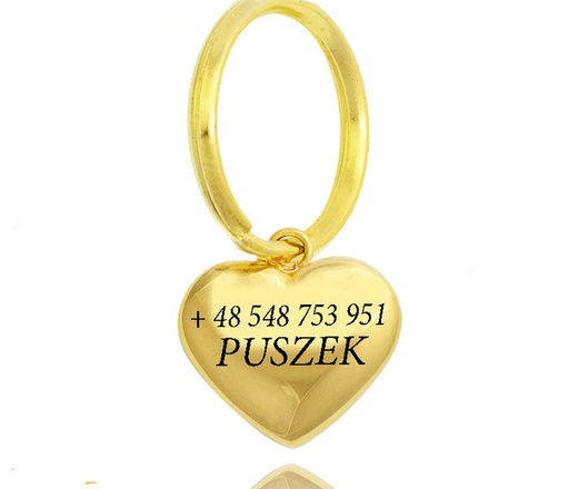 1085 identyfikator adresówka stalowa dla psa złote serce