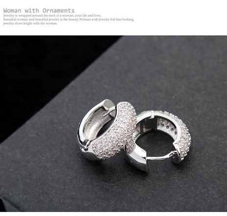 Kol 599/361 KOLCZYKI kółeczka cyrkonie crystal